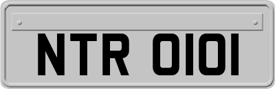 NTR0101