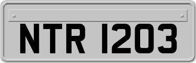NTR1203