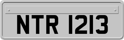 NTR1213