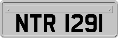 NTR1291
