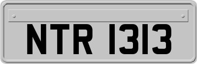 NTR1313