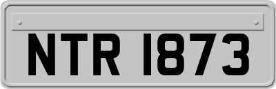 NTR1873