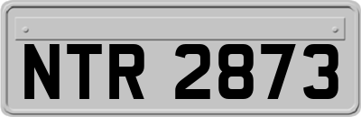 NTR2873