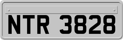 NTR3828