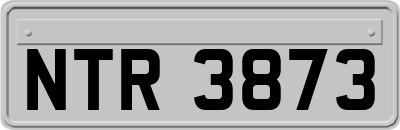 NTR3873