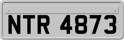 NTR4873