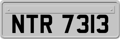 NTR7313