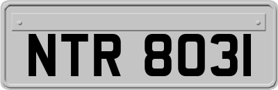 NTR8031
