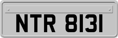 NTR8131