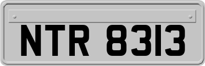 NTR8313