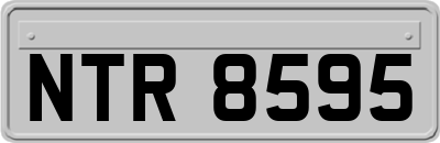 NTR8595