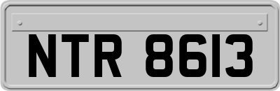 NTR8613