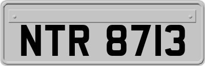 NTR8713