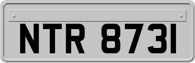 NTR8731
