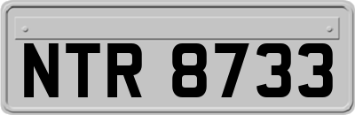 NTR8733