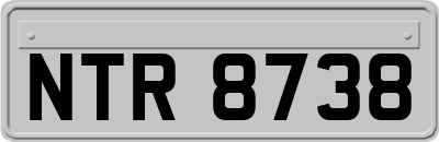 NTR8738