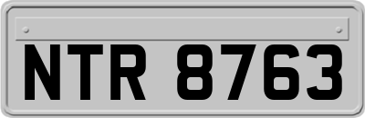 NTR8763