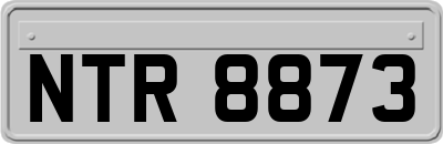 NTR8873