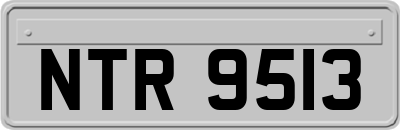 NTR9513