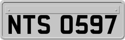 NTS0597