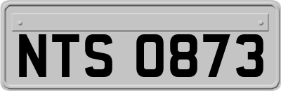 NTS0873
