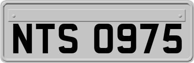 NTS0975