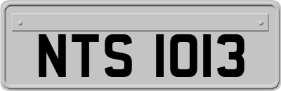 NTS1013