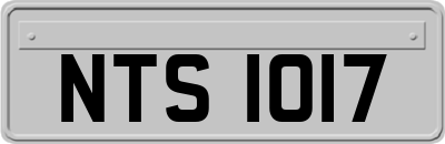 NTS1017