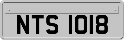 NTS1018