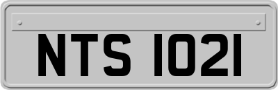NTS1021