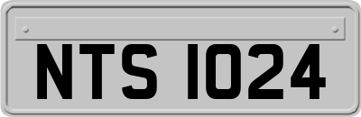 NTS1024