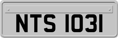 NTS1031