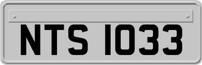 NTS1033