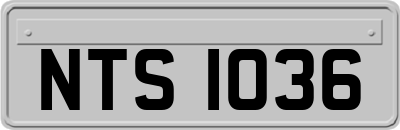 NTS1036