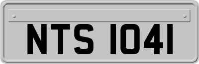 NTS1041