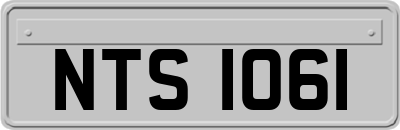 NTS1061