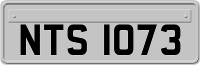 NTS1073
