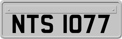 NTS1077