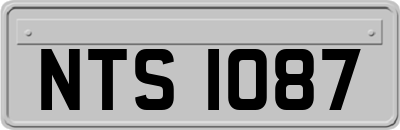NTS1087