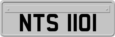 NTS1101