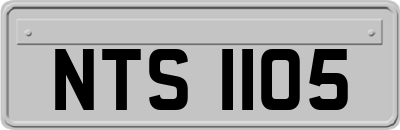 NTS1105
