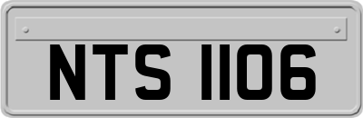NTS1106
