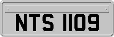 NTS1109
