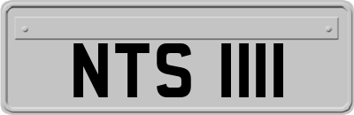 NTS1111