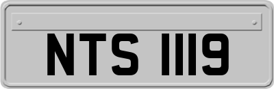 NTS1119