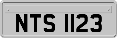 NTS1123