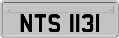 NTS1131