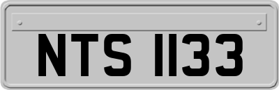 NTS1133