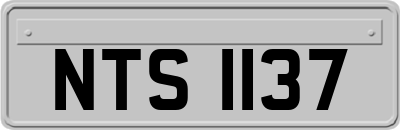 NTS1137