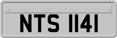 NTS1141